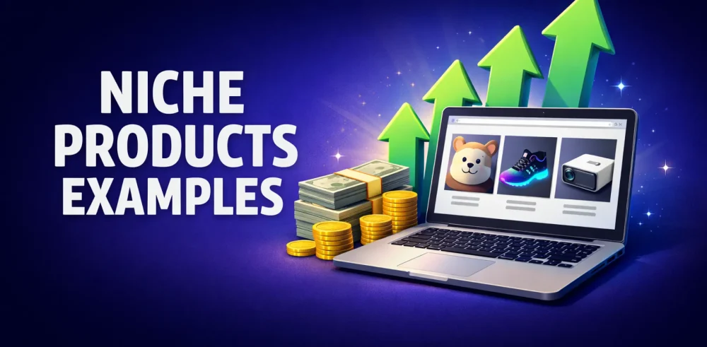Featured image for an article on niche products examples