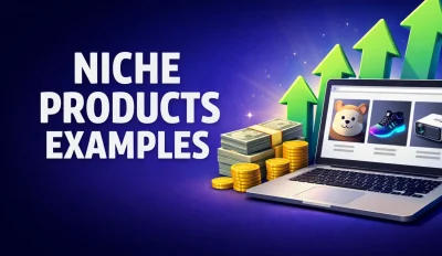 Featured image for an article on niche products examples